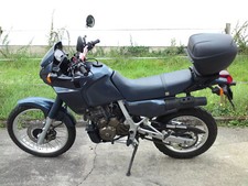 Schlachtfest Honda Dominator