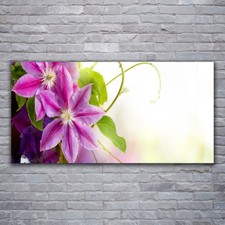 Glasbilder Wandbild Druck auf