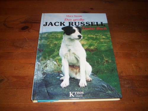 Das große jack - jack, russel