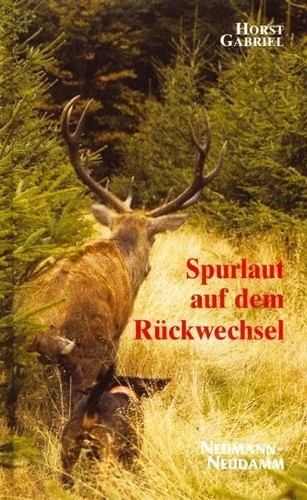 Spurlaut auf dem - , rückwechsel