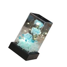 Preserved Rose Forever Flower