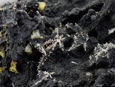 ++ SILBER  XX  PROUSTIT XX