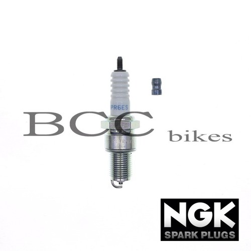 Ngk zündkerzen moto - zündkerzen,