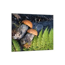 Küchenrückwand Glas 65x60