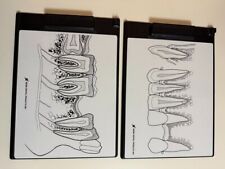 Dental Zahnmedizin Klemmbretttafel Clipboard Tafelklemme Lehrmaterial A4