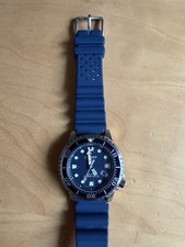 Citizen Ecodrive Promaster