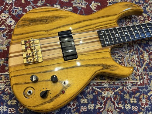 Aria pro 1000ri - aria, e-bass