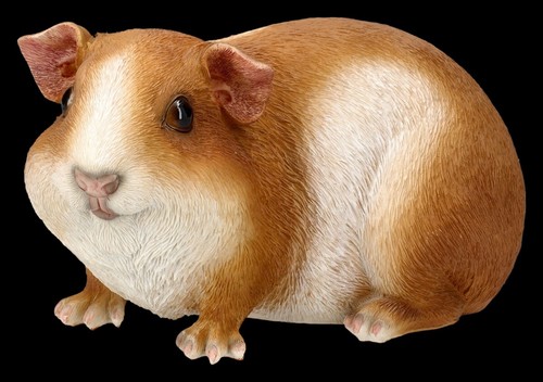Gartenfigur meerschweinchen - gartenfigur,