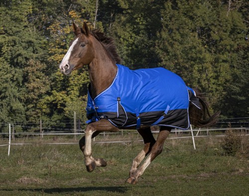Pferde outdoordecke weidedecke - pferde,