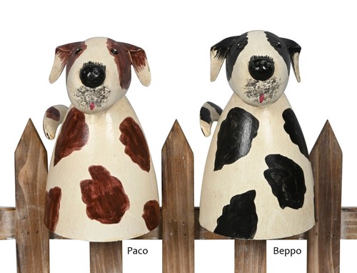 Zaunhocker hunde paco - zaunhocker, und