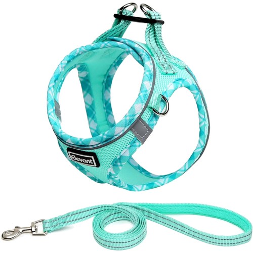 Hundegeschirr leine - hundegeschirr,