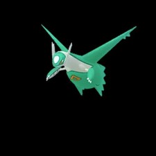 DYNAMAX LATIOS "5 RAID SRVICE"