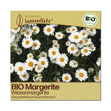 Samenliebe bio margerite samen - bio,