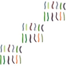  Set of 3 Caterpillar