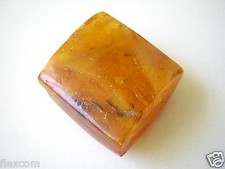Bernstein Butterscotch Honig
