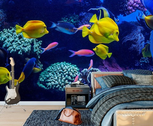 Koralle fisch q1881 tapete - 3d,