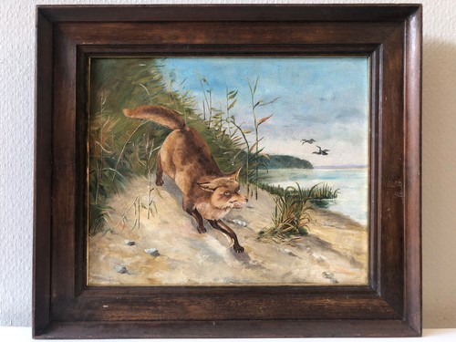 Pirschender rotfuchs see - rotfuchs,