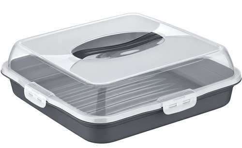 Kuchen transportbox - kuchen,