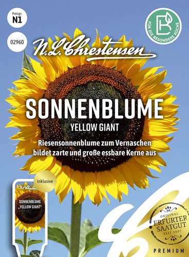 Sonnenblumensamen sonnenblume - sonnenblumensamen,
