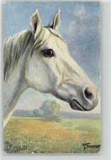 10012633 - Arabischer