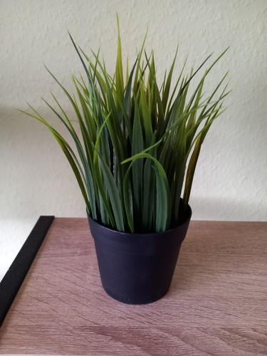 Künstliche pflanze von - künstliche, ikea