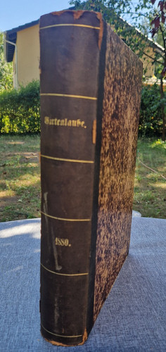 Die gartenlaube buch 1880 - die,