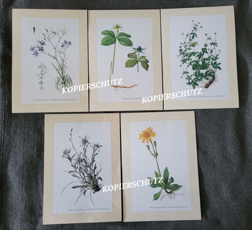 5er set kunstdrucke - 5er-set,
