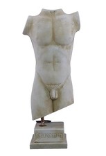 Torso akt männlicher körper - akt,