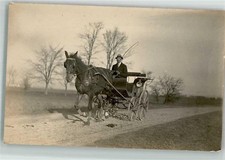 10712969 - Einspaenner Kutsche