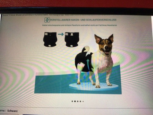 Stück neue hundewindeln - 3,