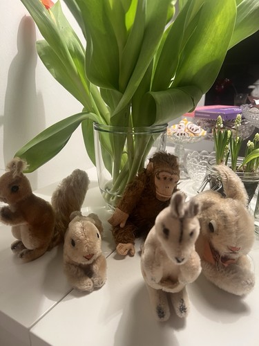 Steiff sammlung konvolut - konvolut,