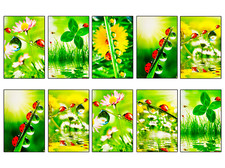 10 Blankokarten je Set