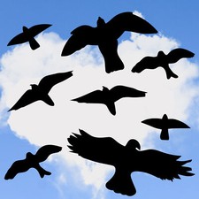8x Vogel Aufkleber