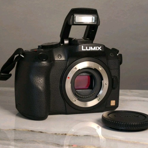 Panasonic lumix dmc 1 mp - panasonic, 16.1