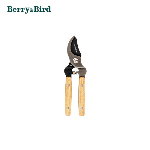 Berry bird garden 5 - garden, sk-5