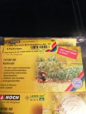 H0 Modelleisenbahn NOCH Laser