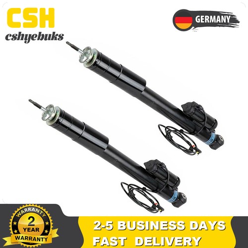 Stoßdämpfer hinten - 2x,