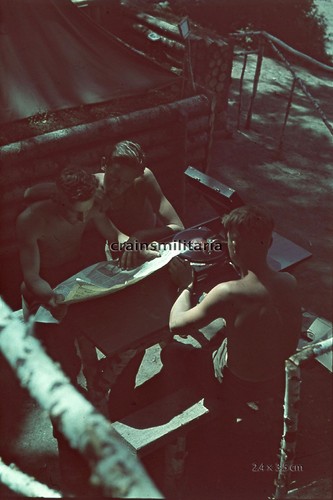 Orig farbdia foto rad - farbdia,