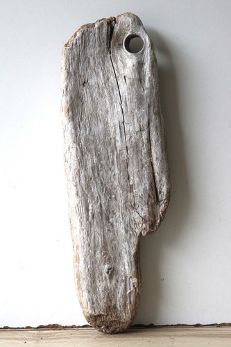 Treibholz schwemmholz - treibholz,