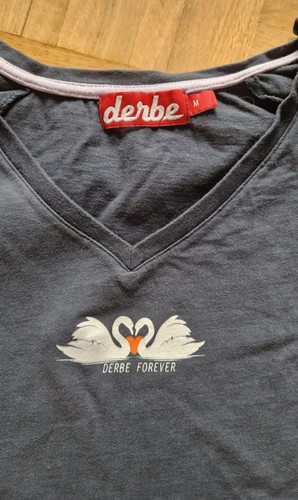 Derbe schwanen tshirt - tshirt, blau