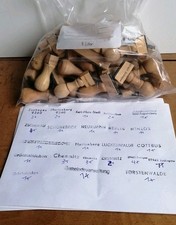 DDR Stempel Holzstempel Ortsnamen  Stadtverwaltung Gemeinde Deutsche Post VEB