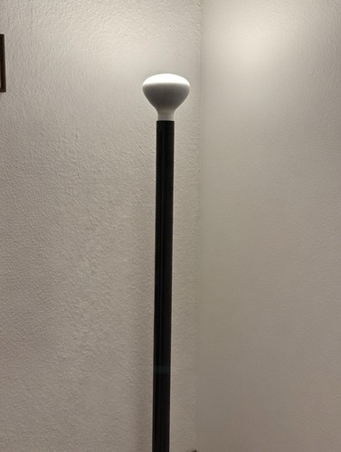 Flos luminator stehleuchte - flos,