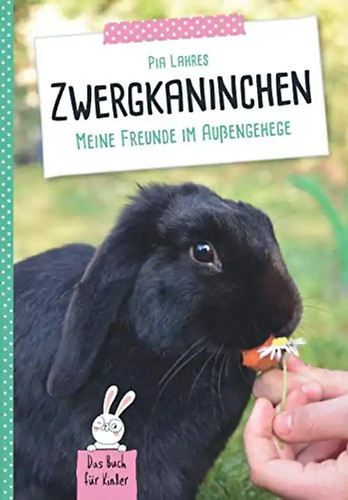 Zwergkaninchen meine freunde - zwergkaninchen:,