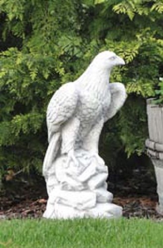 Adler tiere vögel - (s103046),