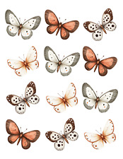 Stanzteile Schmetterlinge Karten Basteln Deko Scrapbooking