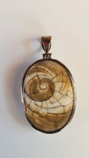 DUR Anhänger 925ér Silber poliert "Meeresauge / Schnecke   TOP  modern