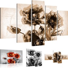 Bilder Mohnblumen Wandbild