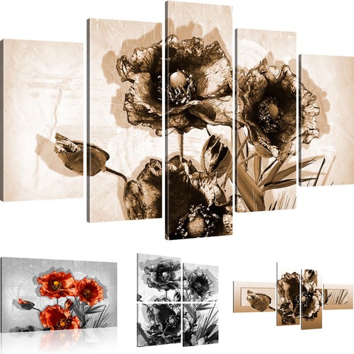 Bilder mohnblumen wandbild - bilder,