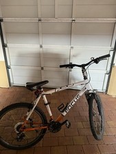 Focus Mountainbike 26 Zoll