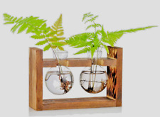 Indoor Vermehrungsstation Holzständer 2 Birnenform Glasvasen Reagenzglas